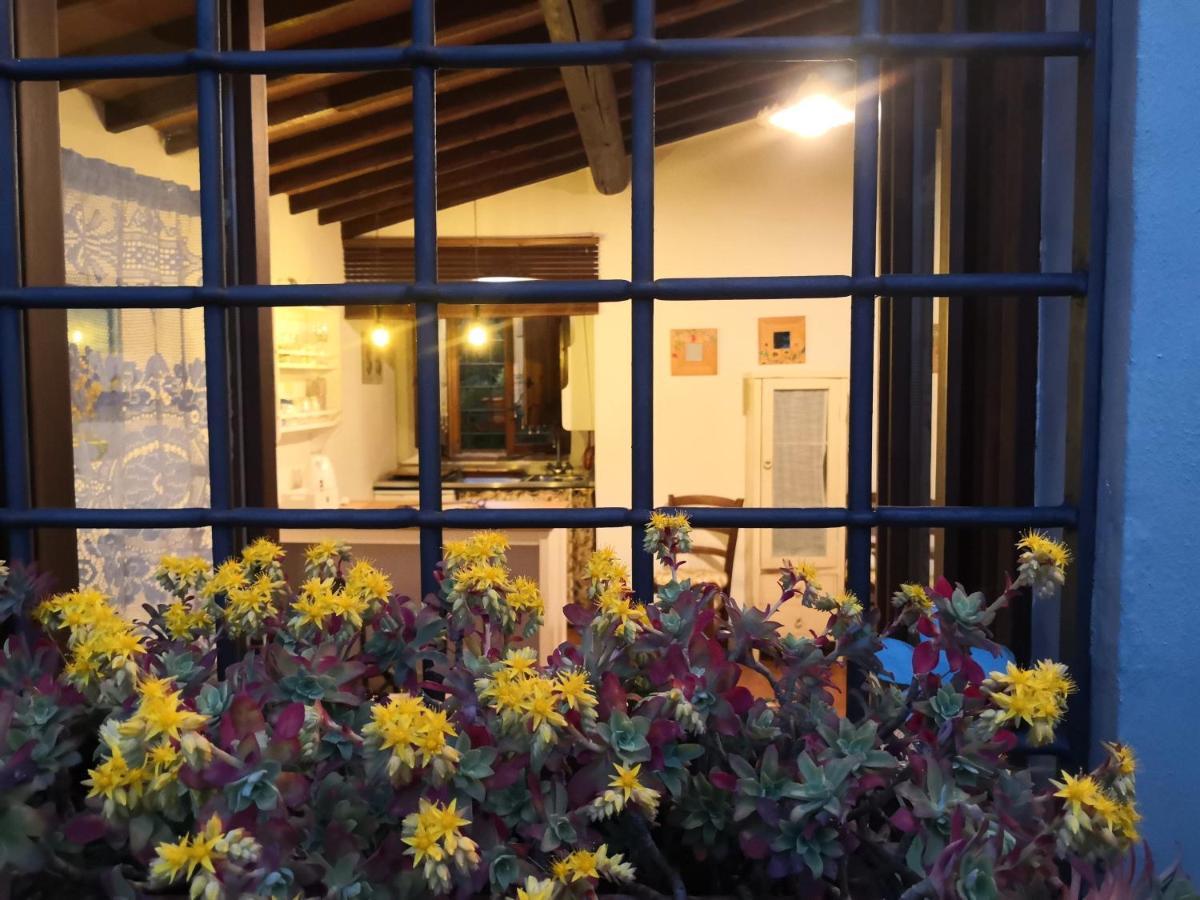 Biologico Poggiopiano Vakantieboerderij